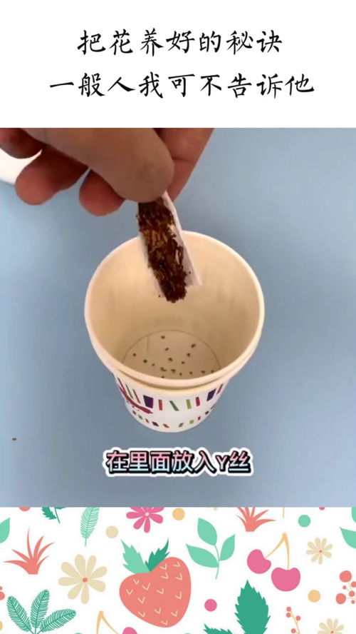 种点啥花好呢？我告诉你！