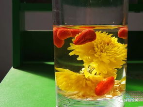 菊花茶品种繁多，你知道常见的菊花茶种类有哪些吗