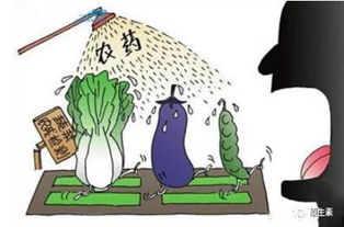 剖析化学农药应用与环境保护之间的关联