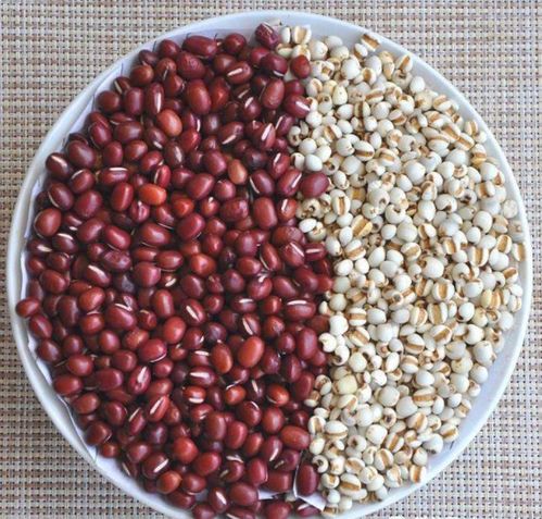 种植方案， 避霜增产有高招