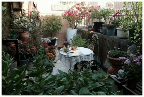 植物选择，光照、温度、湿度要了解