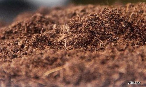 浇水， 这个大问题