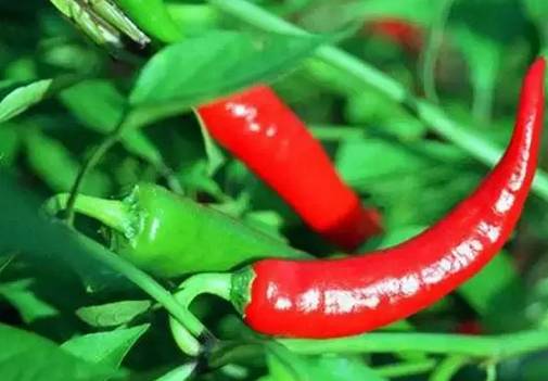 雨水帮忙，加速降解