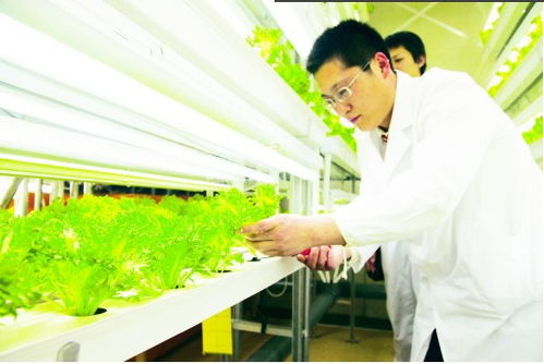 植物保护，专业背后的多彩世界