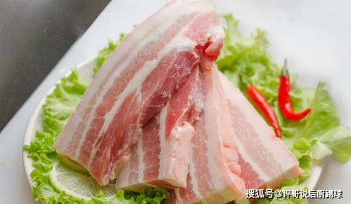 阳光滋养下的肉肉，为何如此热爱阳光
