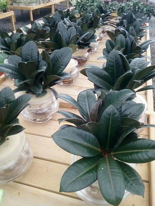 强光直射，是不是晒伤啦？