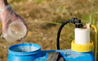 四肢发麻：神经系统的警报