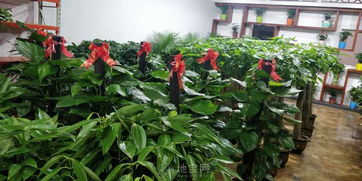 选址和装修， 要讲究