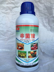 荔枝疫病防治，效果Zui好的杀菌剂是哪个？