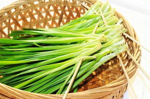 小苏打粉洗韭菜，干净又放心