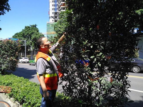 美丽与环保， 携手同行