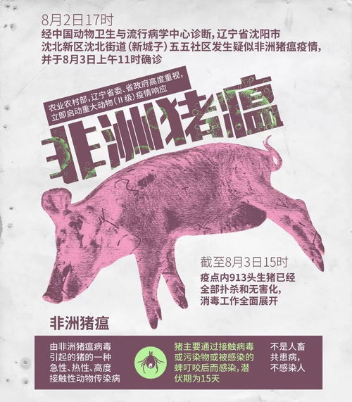 如何破解非洲猪瘟基层防控难题及传播复杂性的全套解决方案？