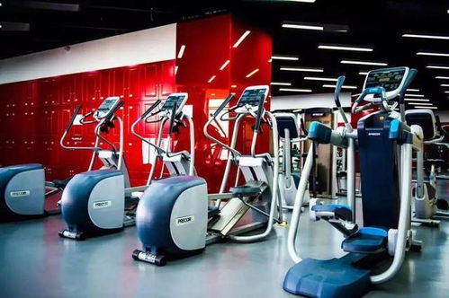 邓甲新城健身新地标，爱维斯带来了哪些令人惊喜的设施和体验？