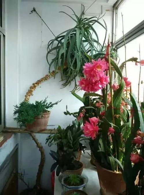 第四步：土壤要选好