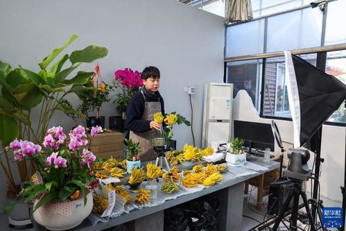 热闹的花博会， 美丽金华的盛会