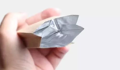 修眠状态的种子