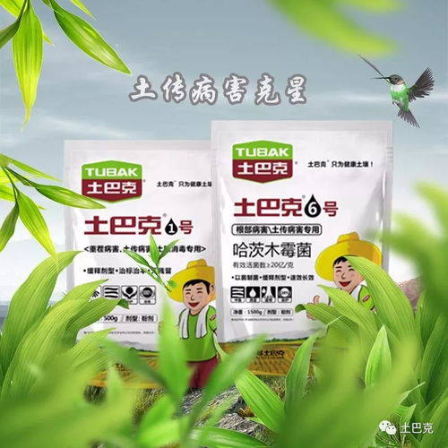 土壤和肥料的重要性