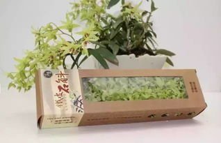 干花保存：关键词“密封”