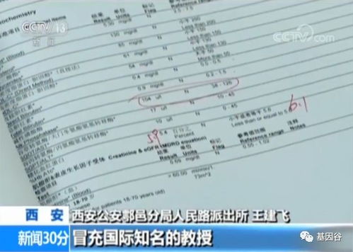 新技术， 新思路