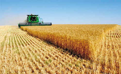 提高化肥的利用率