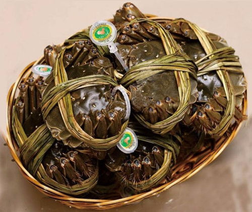 探索水域珍宝：湖蟹与大闸蟹的生态差异揭秘