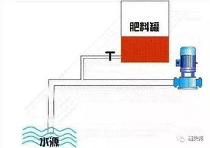 滴灌系统的使用技巧
