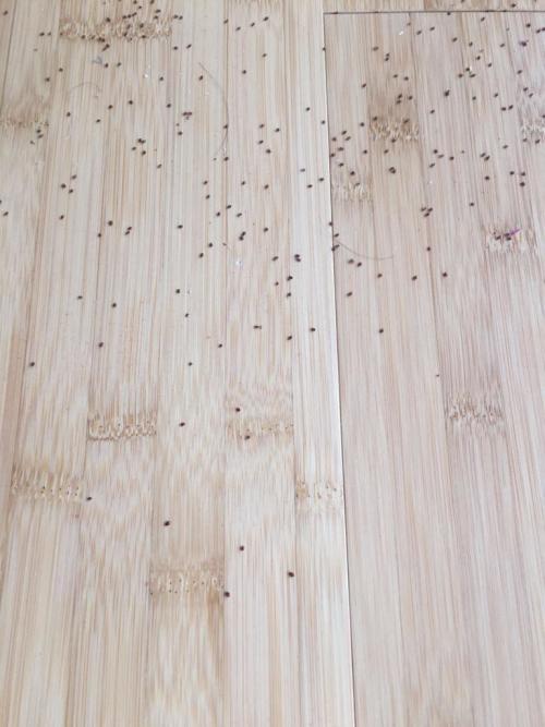 厂家名字，记性不好怎么办？