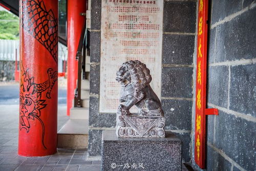 网球花核心不开，为何迟迟不绽放