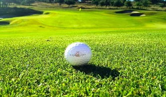 地域适配性要考虑