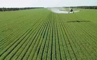 通辽一亩草地产量揭秘：新手种植攻略大放送！