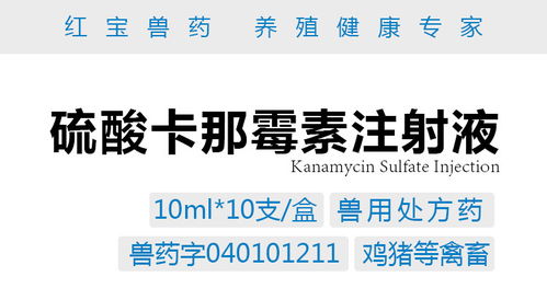 猪气喘病有救了？硫酸卡那霉素能否破解治疗难题