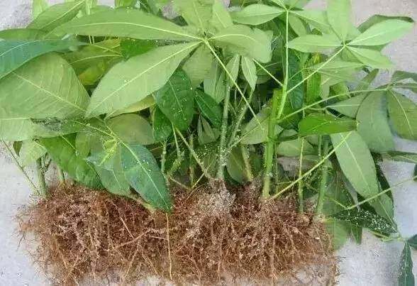 水水水，重要的事说三遍