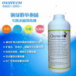 黄山四绝之奇松