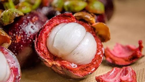 山竹成熟度如何辨别？轻松掌握选购技巧！