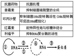 成分与原料：天然与合成