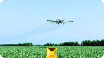 对生态环境的危害：无声的破坏者