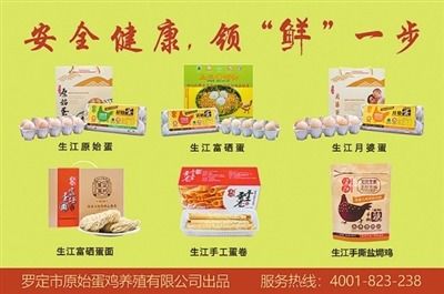孕猪用药慎选，避免激素与抗生素