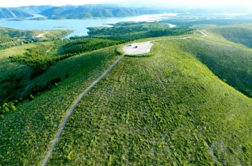 生态造林，价值无穷的网络