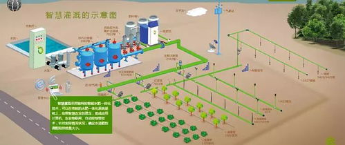 强化农业养殖环境卫生体系建设至关重要