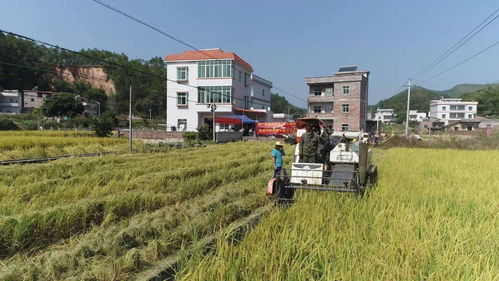 案例分享与成本降低