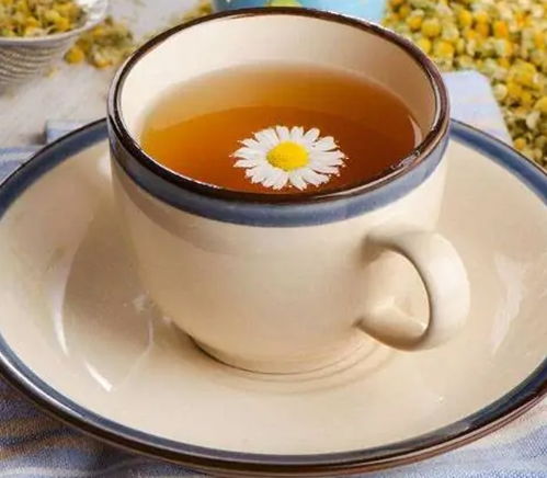 蜂蜜菊花茶怎么泡才最香醇？是否掌握了正确的泡茶技巧