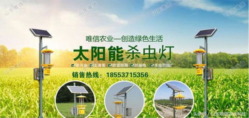 神奇的光Neng武器：太阳Neng灭虫器揭秘