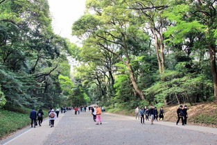 一、 地理位置和气候条件