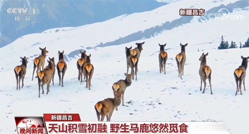 冬末春初，万物复苏