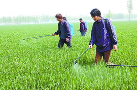 农药混配的小技巧