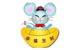 鼠生肖，为什么说鼠生肖落地生根意味着适应能力强？