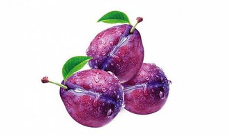 朱砂梅，美得不可方物