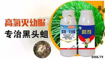 传统防治需打4次药， 甲维盐两遍搞定