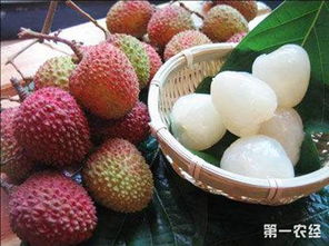 荔枝瘿螨是一种危害荔枝的害虫，严重影响荔枝产量和品质