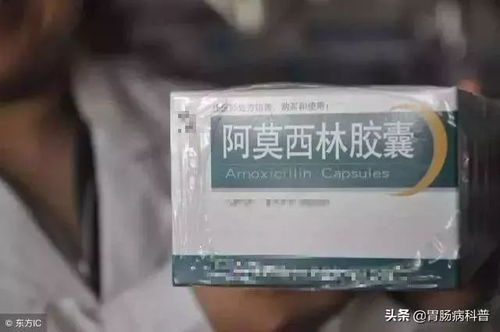阿莫西林养猪消炎药如何对症配伍禁忌？